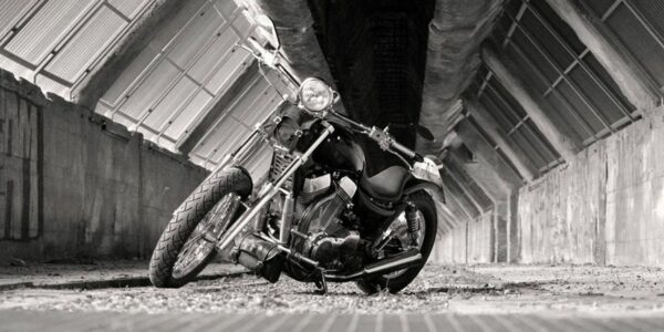 imgi_2_89179718_104027854564071_335153520925736960_o-01-large imgi_2_89179718_104027854564071_335153520925736960_o-01-large